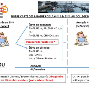 info document